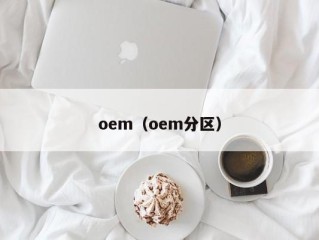 oem（oem分区）