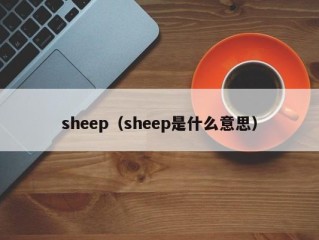 sheep（sheep是什么意思）