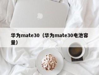 华为mate30（华为mate30电池容量）