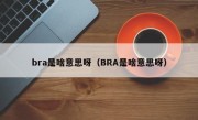 bra是啥意思呀（BRA是啥意思呀）