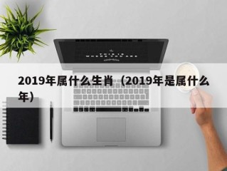 2019年属什么生肖（2019年是属什么年）