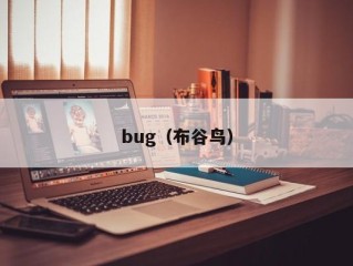 bug（布谷鸟）
