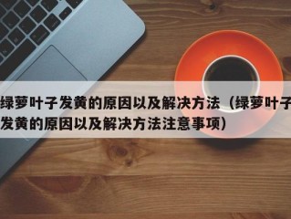 绿萝叶子发黄的原因以及解决方法（绿萝叶子发黄的原因以及解决方法注意事项）