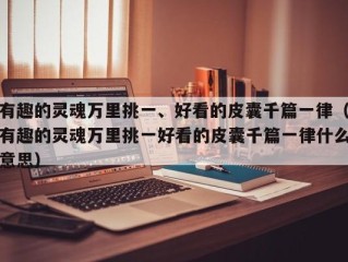 有趣的灵魂万里挑一、好看的皮囊千篇一律（有趣的灵魂万里挑一好看的皮囊千篇一律什么意思）