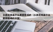 小孩流鼻血什么原因造成的（小孩流鼻血什么原因造成的中医）