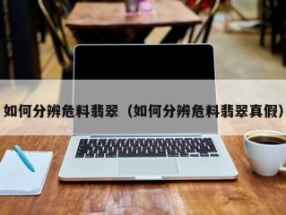如何分辨危料翡翠（如何分辨危料翡翠真假）