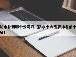 防水补漏哪个公司好（防水十大品牌排名前十名）