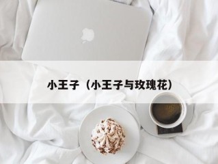 小王子（小王子与玫瑰花）