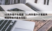 11月份是什么星座（11月份是什么星座天蝎座和射手座女生配）