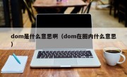 dom是什么意思啊（dom在圈内什么意思）