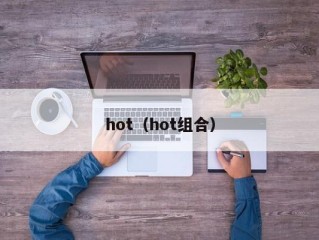 hot（hot组合）
