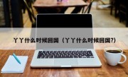 丫丫什么时候回国（丫丫什么时候回国?）