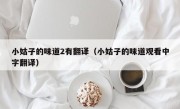 小姑子的味道2有翻译（小姑子的味道观看中字翻译）