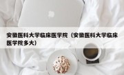 安徽医科大学临床医学院（安徽医科大学临床医学院多大）